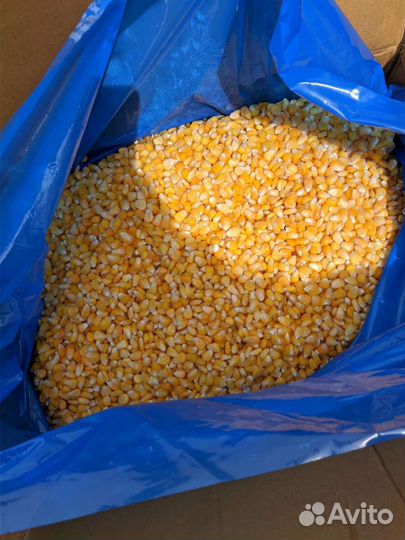 Замороженная кукуруза