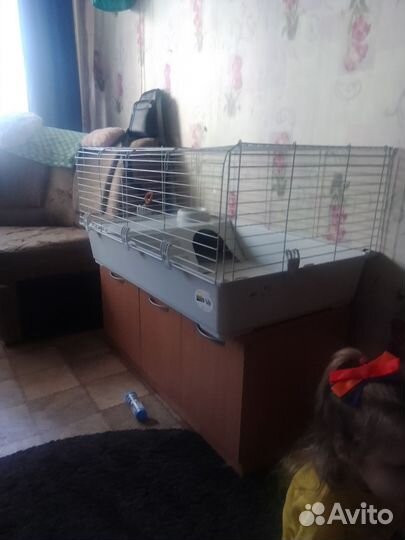 Клетка большая