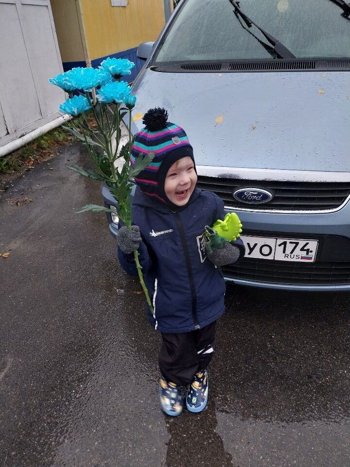 Ford C-MAX: фото владельца