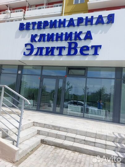 Ветеринарный врач и ассистент
