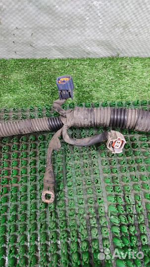 Жгут проводки двигателя Subaru Tribeca WX 2009