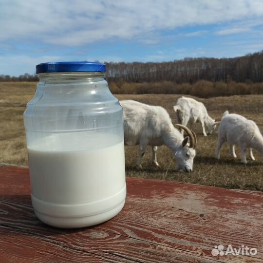 Козье молоко