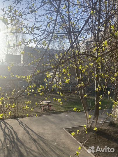 Расстановка по Б. Хеллингеру