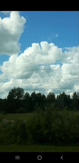 Участок 5,9 га (ИЖС)