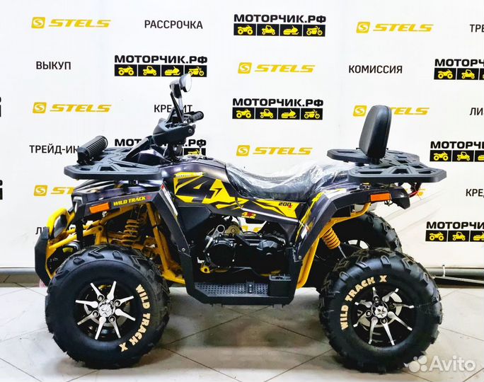 Квадроцикл MotoLand wild track X PRO 200 (черный)