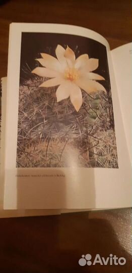 Книга Колючее чудо и Книги по садоводству