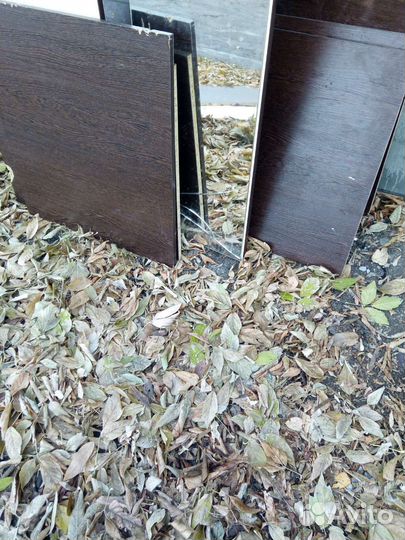 Зеркала от шкафов трильяжей