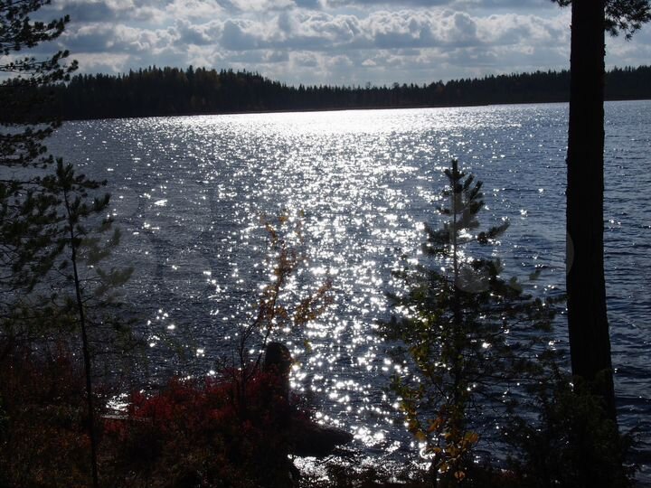 Участок 15 сот. (СНТ, ДНП)