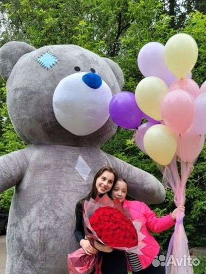 Поздравление Тедди, Me To You, Медведь, Панда