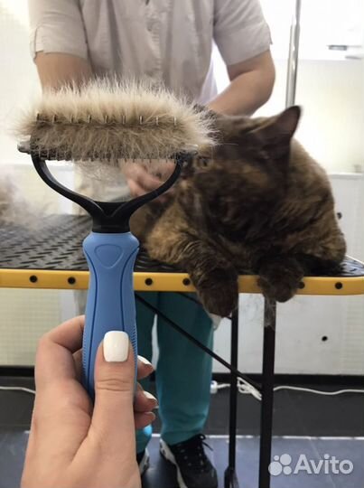 Вакансия Грумер