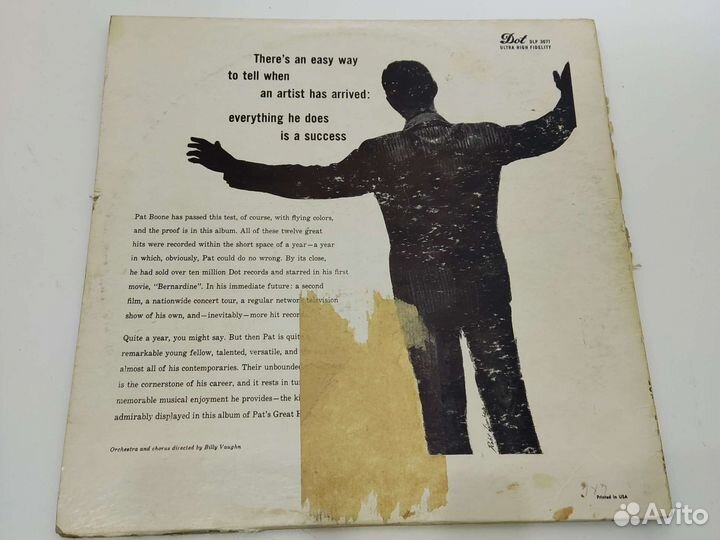 Виниловая пластинка (США)