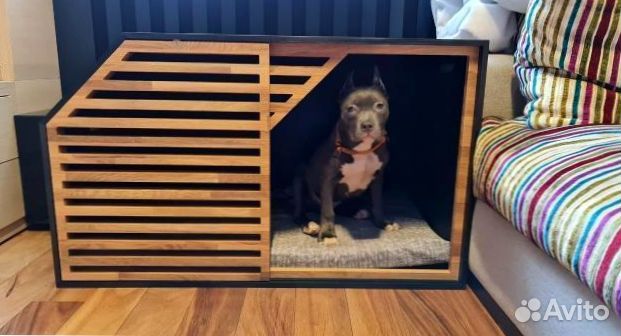 Вольер для Большой собаки