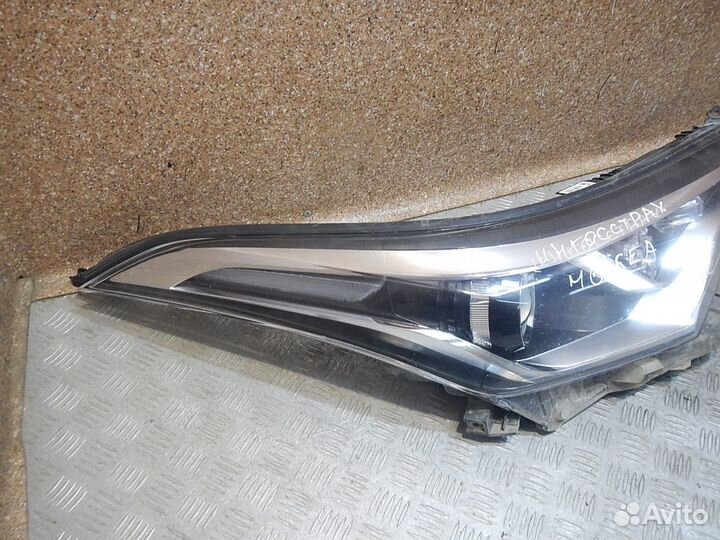 Фара правая, Toyota (Тойота) -C-HR (17)