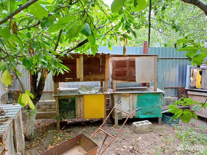 Клетки от кроликов