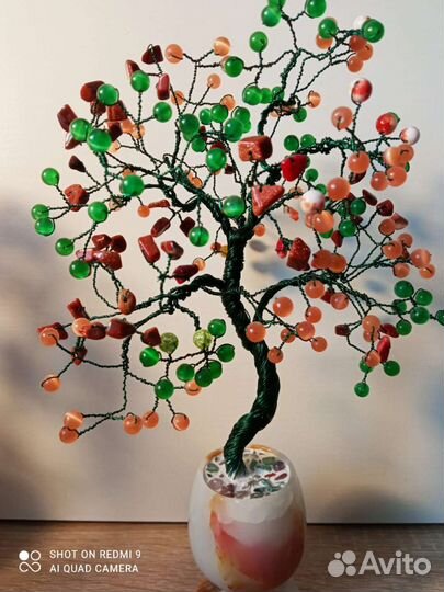 Дерево бонсай