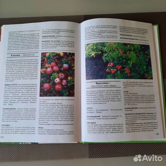 Книга по ландшафтному дизайну