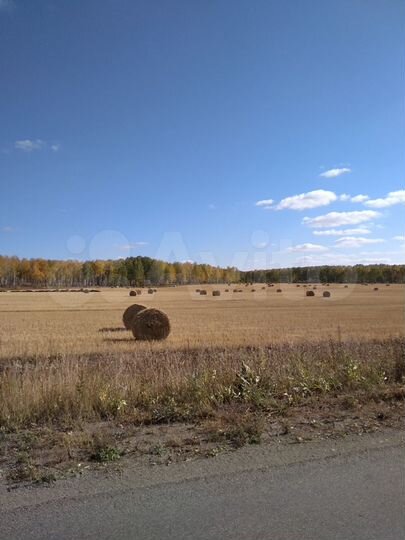 Участок 5,1 га (СНТ, ДНП)