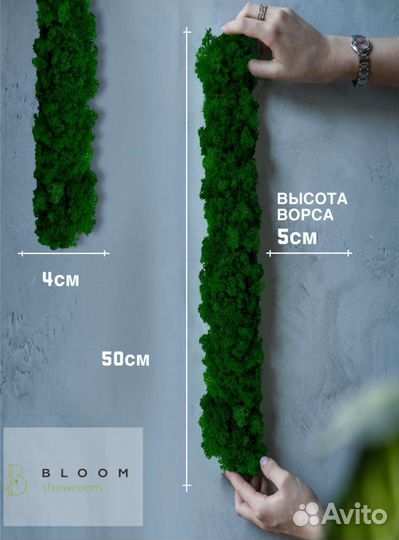 Мох для декора кирпичной стены