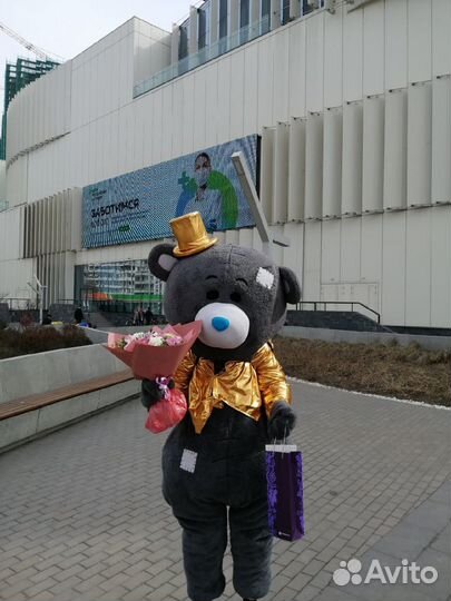 Мишка Тедди на праздник+экспресс поздравление