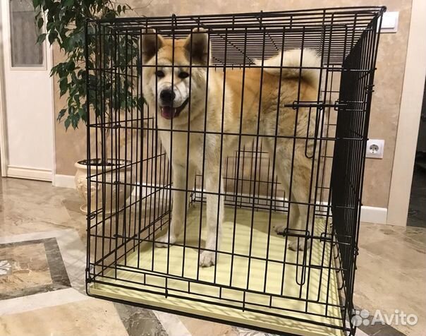 Клетка для собак кошек в наличии магазин