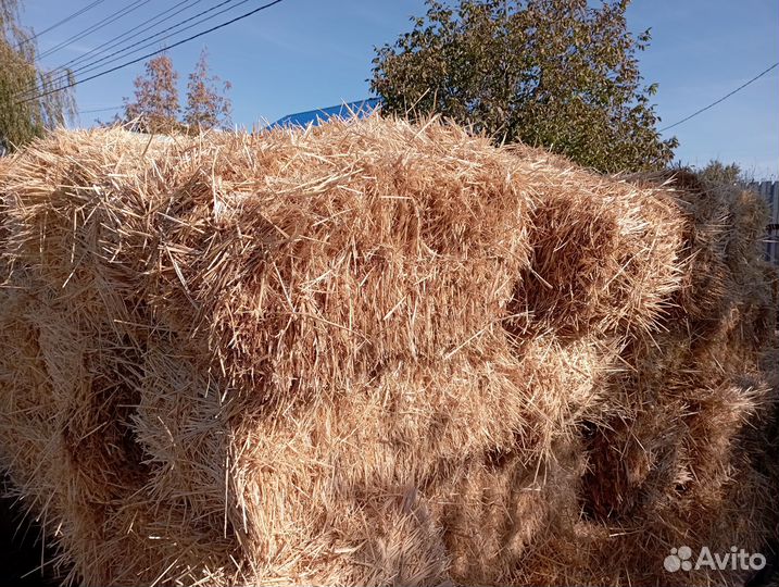 Солома в тюках