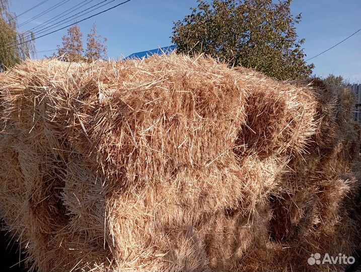 Солома в тюках