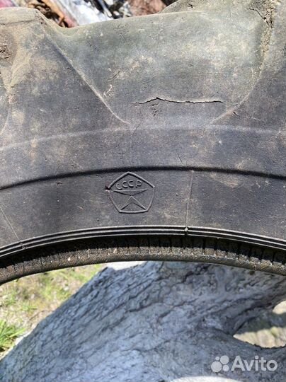 Шина тракторная Т-40