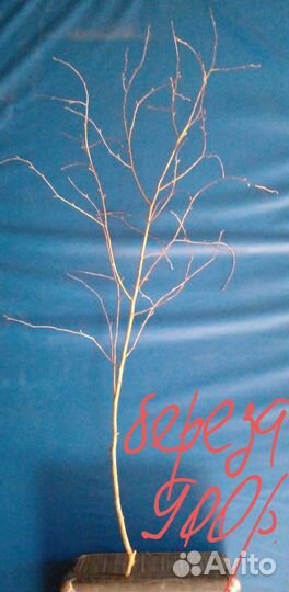 Декор для интерьера