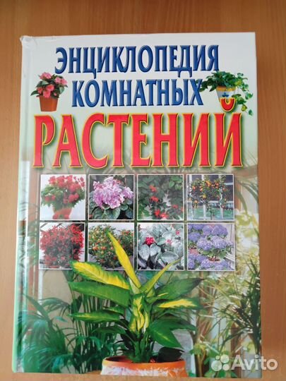 Энциклопедия комнатных растений