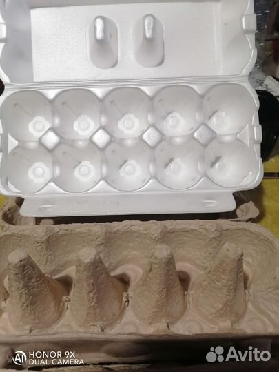 Ячейки для яиц