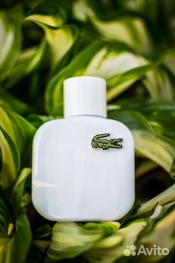 Lacoste духи white