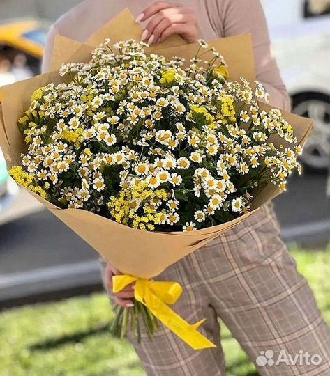 Ромашки Пионы Розы Доставка