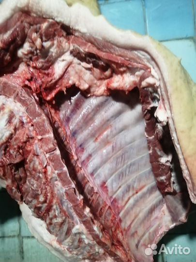 Мясо свинина домашняя