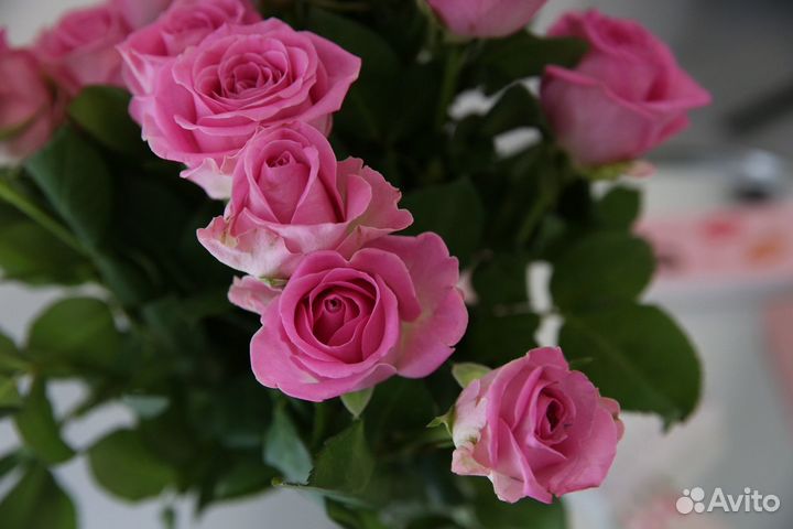 Доставка цветов / Розы