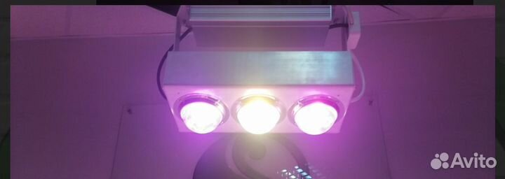 Лампа deepsun300 (супер цветение