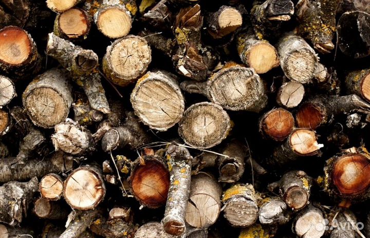 Дрова березовые