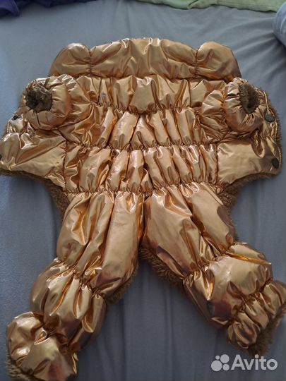 Костюм для собак и кошек