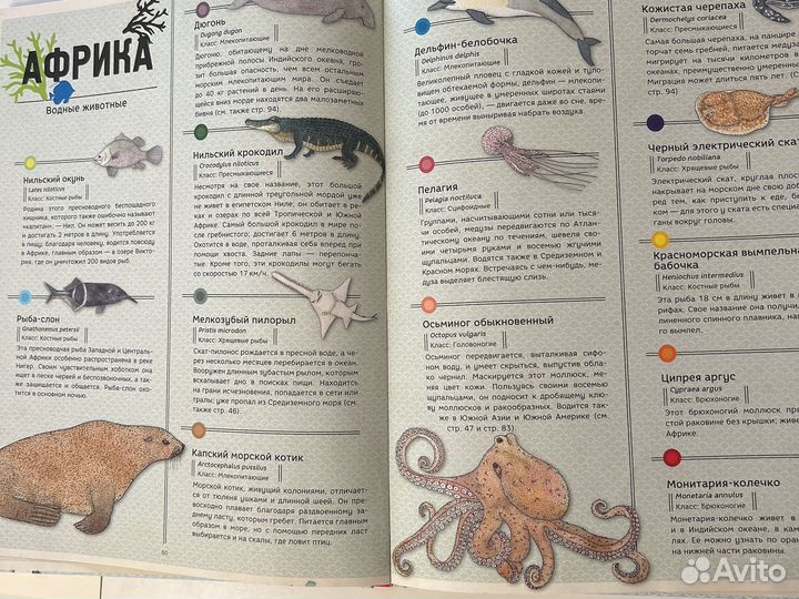 Книга про животных Атлас животных от Clever