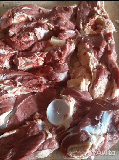 Парное мясо (телятина,говядина, баранина)