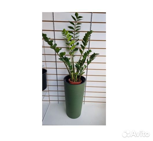 Кашпо Кашпо Лилия джутто эко 25/47 цвет зеленый