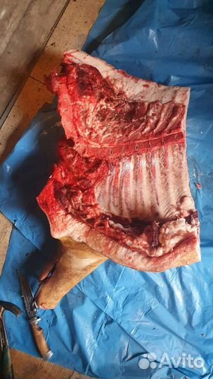 Мясо свинина домашняя
