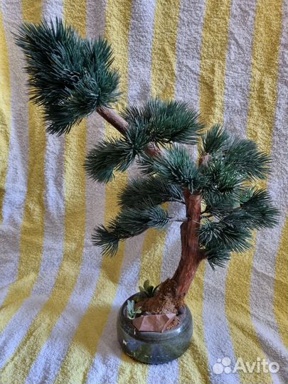 Декоративное искусственное дерево сосна бонсай