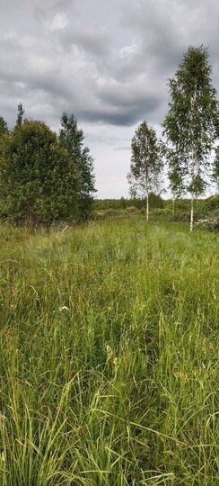 Участок 16,7 сот. (ИЖС)