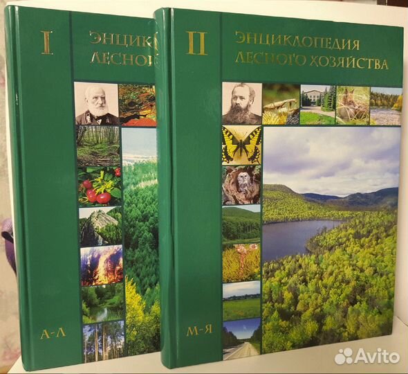 Энциклопедия лесного хозяйства в 2-х томах
