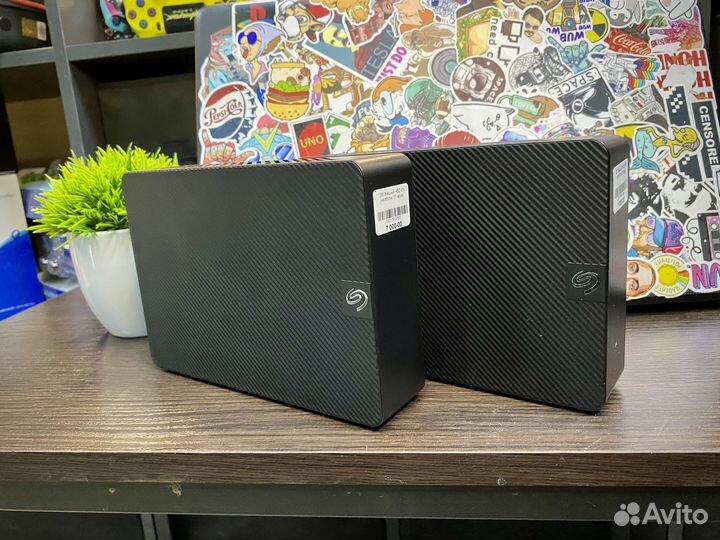 Seagate Expansion SW 4Tb