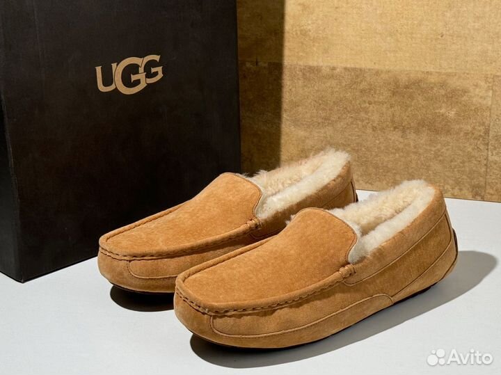 Мокасины зимние UGG Mens Ascot Chestnut