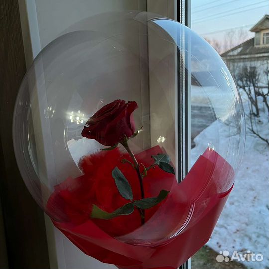 Роза в шаре