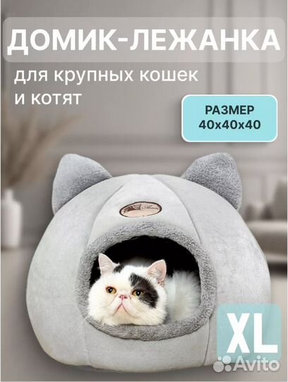 Кошачий домик