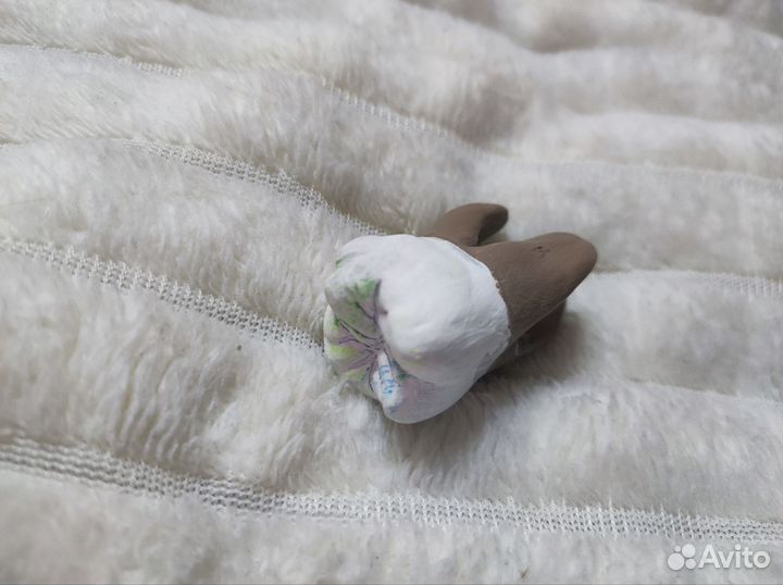 Модели зубов