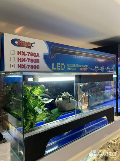 Террариум для ящериц